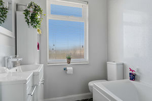 Photo 29- click for photo gallery